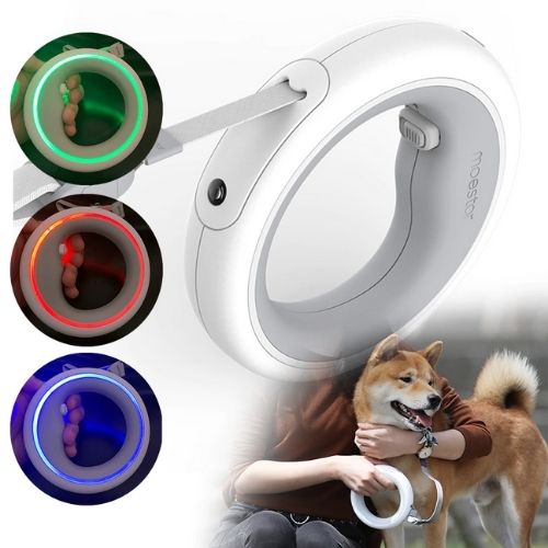 LED Dog Leash Ring