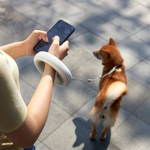 LED Dog Leash Ring